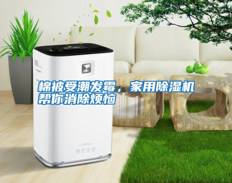 棉被受潮發(fā)霉，家用除濕機幫你消除煩惱