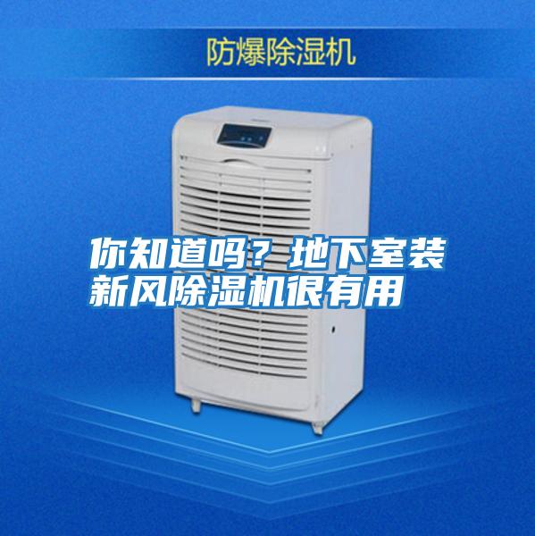 你知道嗎？地下室裝新風(fēng)除濕機很有用