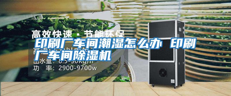 印刷廠(chǎng)車(chē)間潮濕怎么辦 印刷廠(chǎng)車(chē)間除濕機