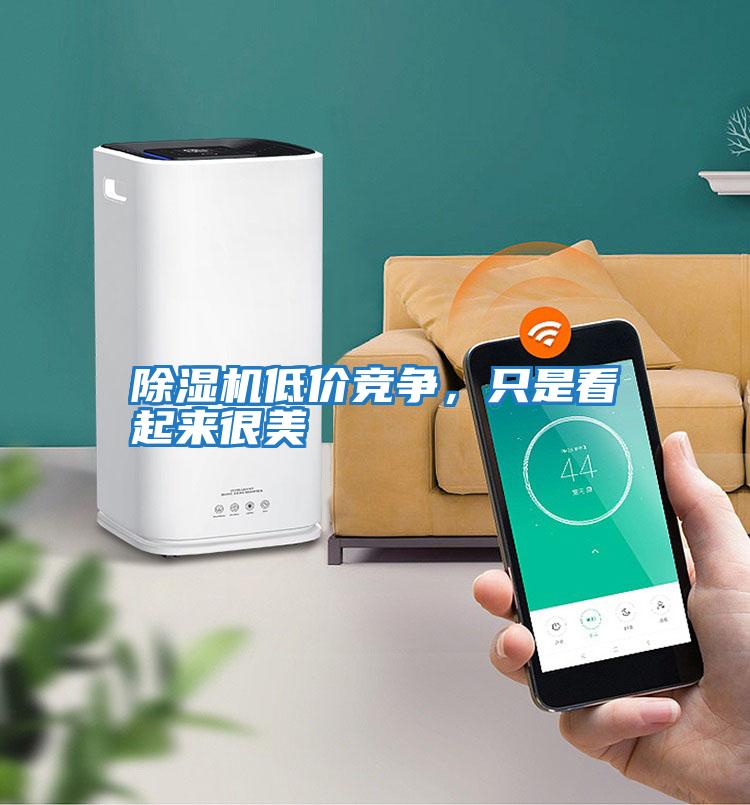 除濕機低價(jià)競爭，只是看起來(lái)很美