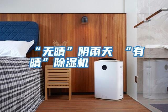 “無(wú)晴”陰雨天 “有晴”除濕機