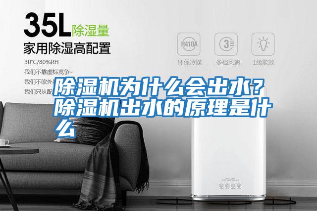 除濕機為什么會(huì )出水？除濕機出水的原理是什么