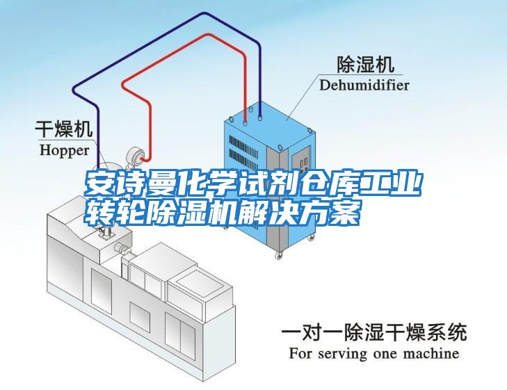 安詩(shī)曼化學(xué)試劑倉庫工業(yè)轉輪除濕機解決方案