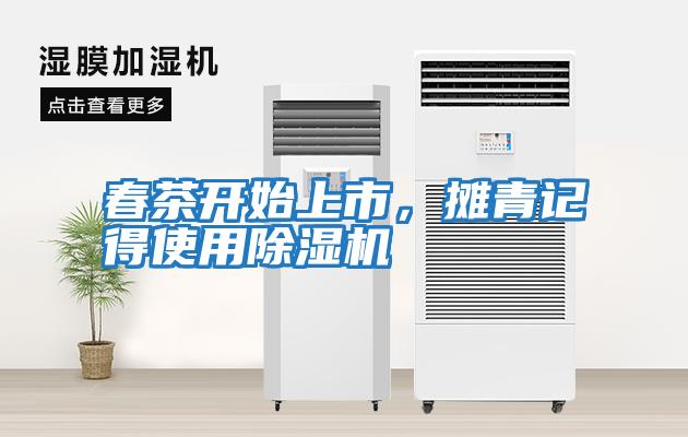 春茶開(kāi)始上市,攤青記得使用除濕機