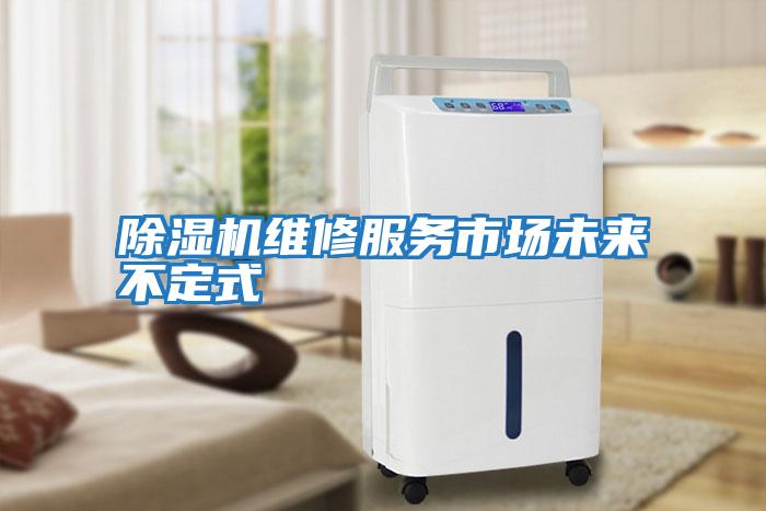 除濕機維修服務(wù)市場(chǎng)未來(lái)不定式