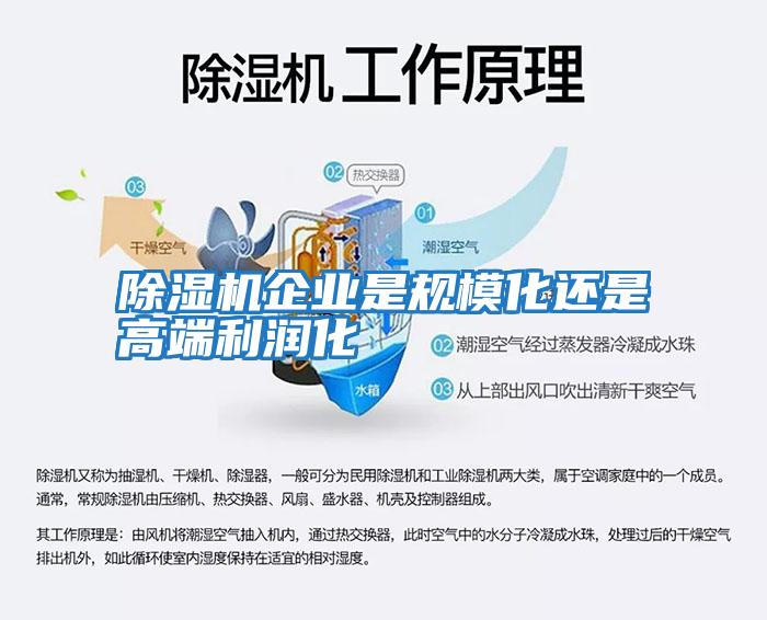除濕機企業(yè)是規?；€是高端利潤化
