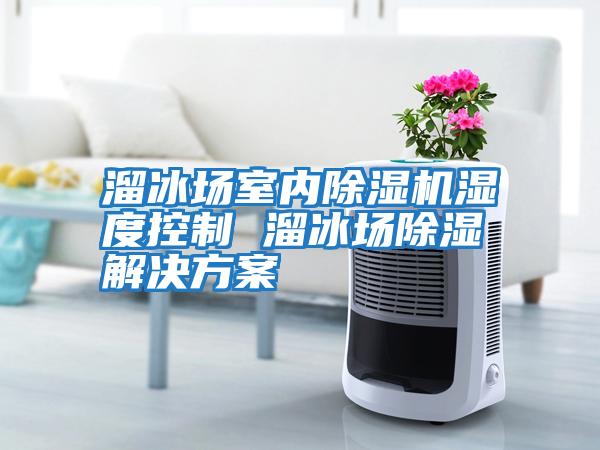 溜冰場(chǎng)室內除濕機濕度控制 溜冰場(chǎng)除濕解決方案