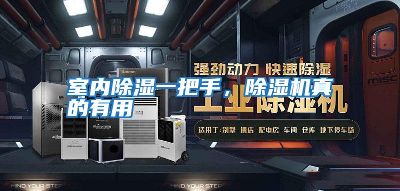 室內除濕一把手，除濕機真的有用