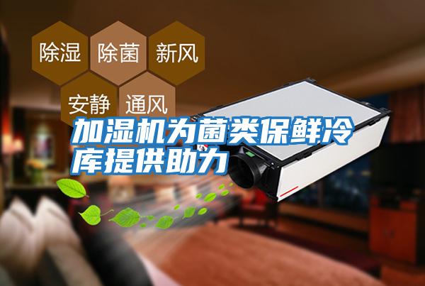 加濕機為菌類(lèi)保鮮冷庫提供助力