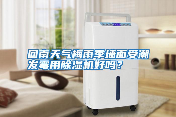 回南天氣梅雨季墻面受潮發(fā)霉用除濕機好嗎？