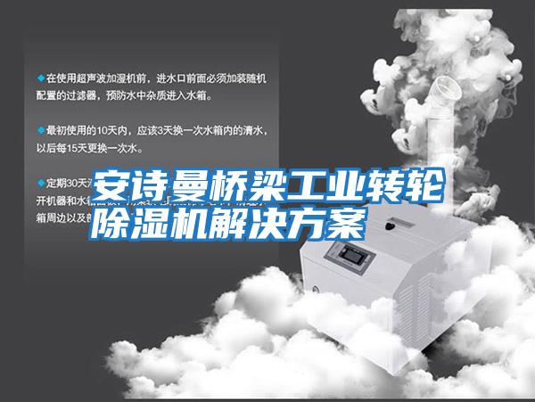 安詩(shī)曼橋梁工業(yè)轉輪除濕機解決方案
