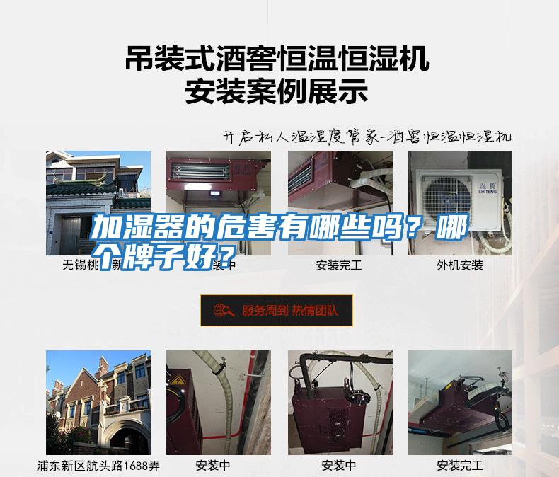 加濕器的危害有哪些嗎？哪個(gè)牌子好？