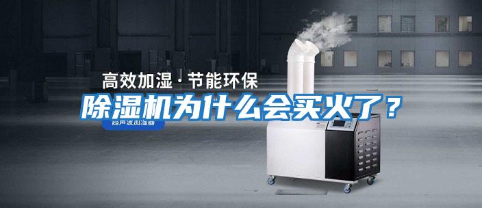 除濕機為什么會(huì )買(mǎi)火了？