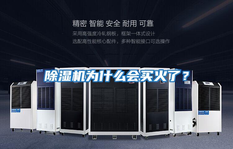 除濕機為什么會(huì )買(mǎi)火了？