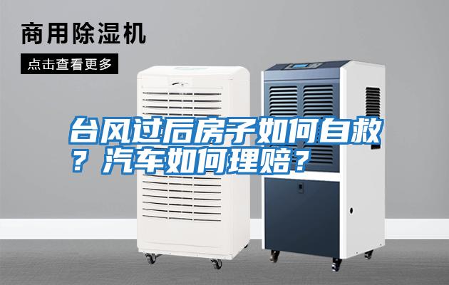 臺風(fēng)過(guò)后房子如何自救？汽車(chē)如何理賠？