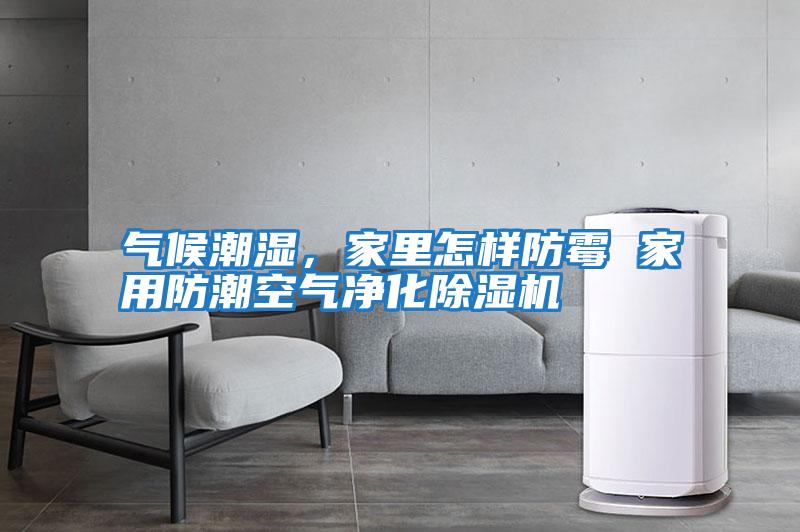 氣候潮濕，家里怎樣防霉 家用防潮空氣凈化除濕機