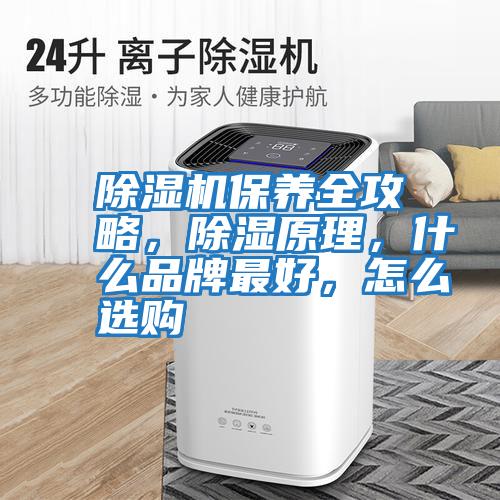 除濕機保養全攻略，除濕原理，什么品牌最好，怎么選購