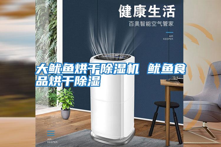 大魷魚(yú)烘干除濕機 魷魚(yú)食品烘干除濕