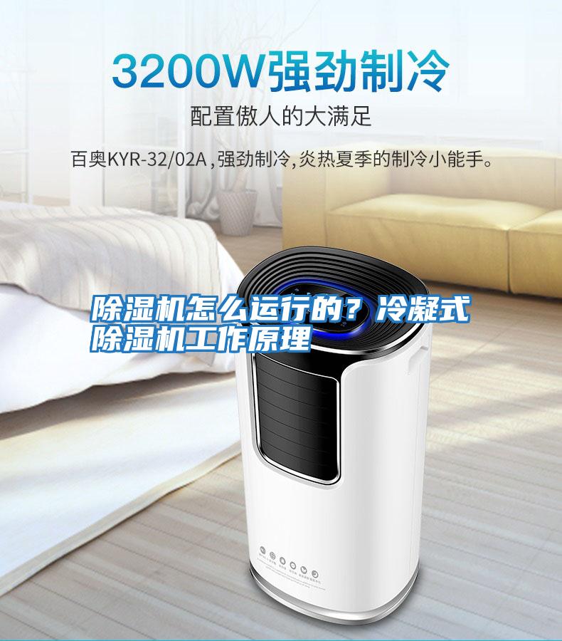 除濕機怎么運行的？冷凝式除濕機工作原理