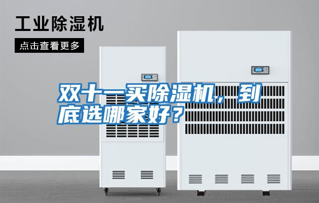 雙十一買(mǎi)除濕機，到底選哪家好？