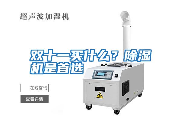 雙十一買(mǎi)什么？除濕機是首選