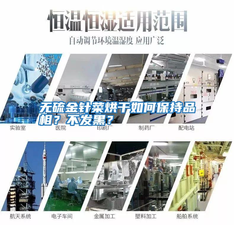 無(wú)硫金針菜烘干如何保持品相？不發(fā)黑？