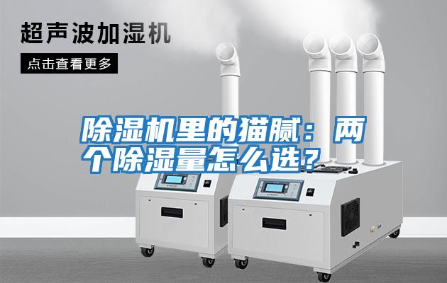 除濕機里的貓膩：兩個(gè)除濕量怎么選？