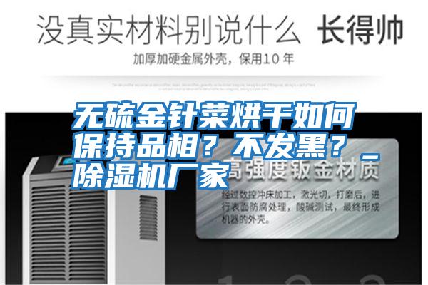 無(wú)硫金針菜烘干如何保持品相？不發(fā)黑？_除濕機廠(chǎng)家