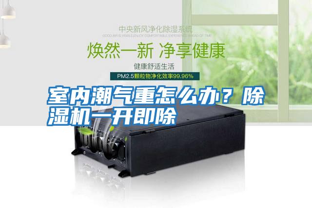 室內潮氣重怎么辦？除濕機一開(kāi)即除