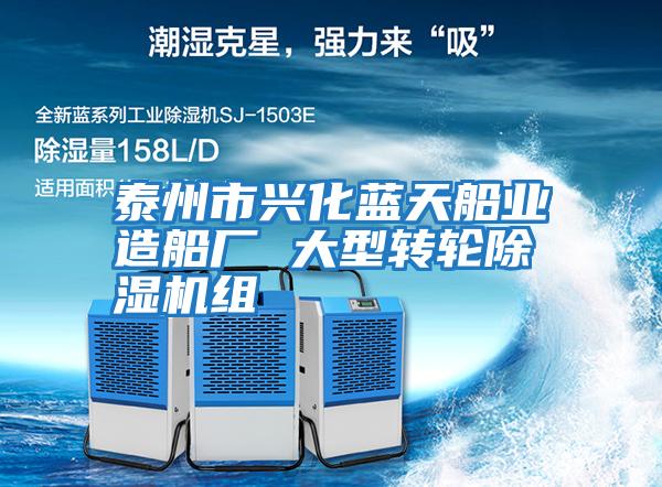 泰州市興化藍天船業(yè)造船廠(chǎng) 大型轉輪除濕機組