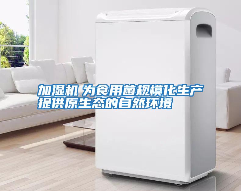 加濕機　為食用菌規?；a(chǎn)提供原生態(tài)的自然環(huán)境