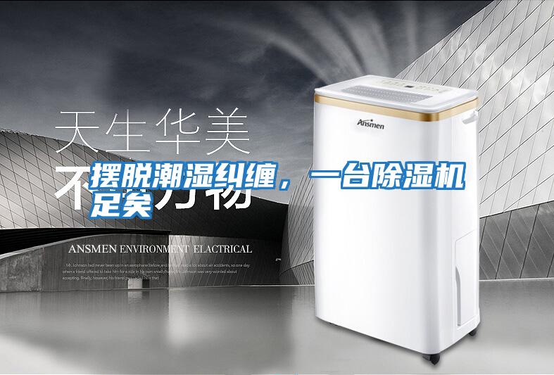 擺脫潮濕糾纏，一臺除濕機足矣