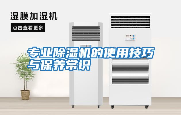 專(zhuān)業(yè)除濕機的使用技巧與保養常識