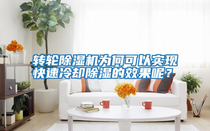 轉輪除濕機為何可以實(shí)現快速冷卻除濕的效果呢?