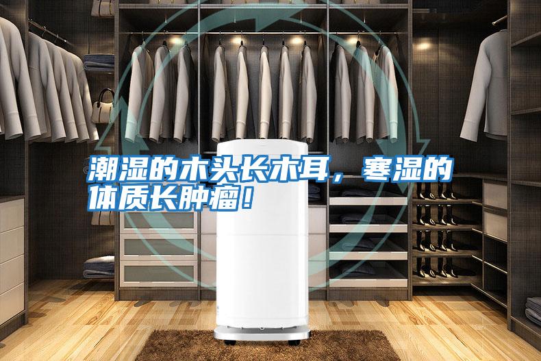 潮濕的木頭長(cháng)木耳，寒濕的體質(zhì)長(cháng)腫瘤！