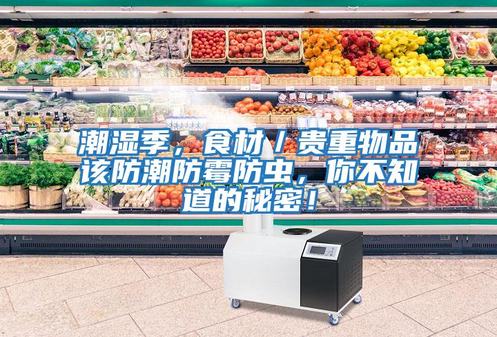 潮濕季，食材／貴重物品該防潮防霉防蟲(chóng)，你不知道的秘密！