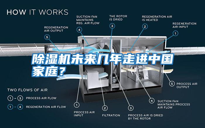 除濕機未來(lái)幾年走進(jìn)中國家庭?