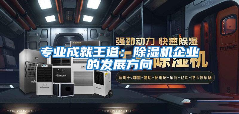 專(zhuān)業(yè)成就王道：除濕機企業(yè)的發(fā)展方向