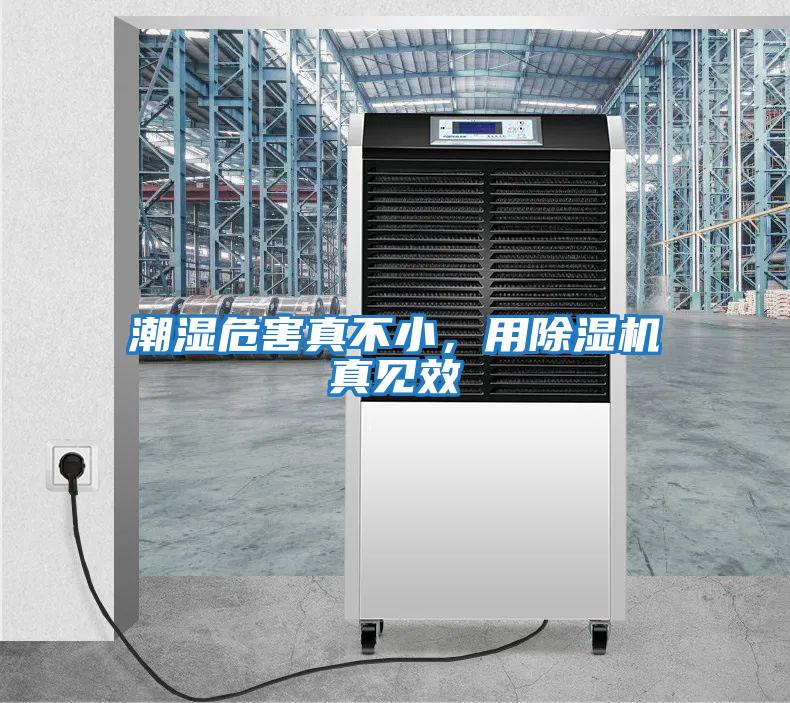 潮濕危害真不小，用除濕機真見(jiàn)效