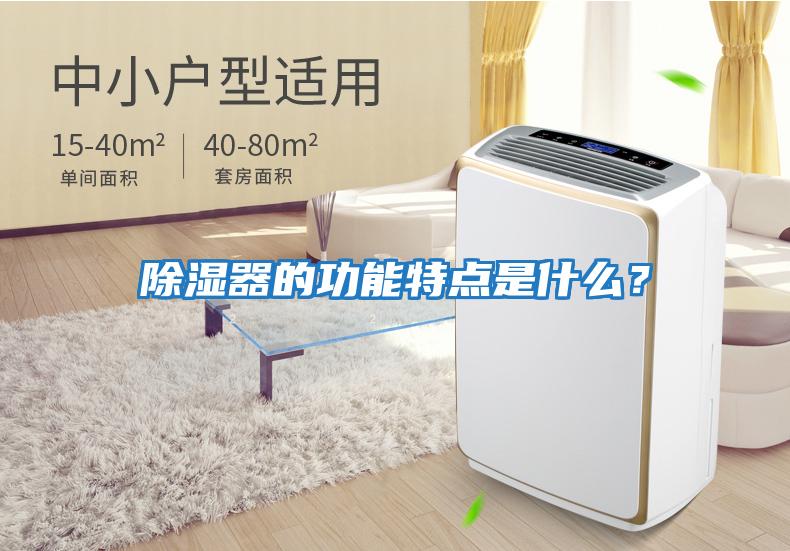 除濕器的功能特點(diǎn)是什么？