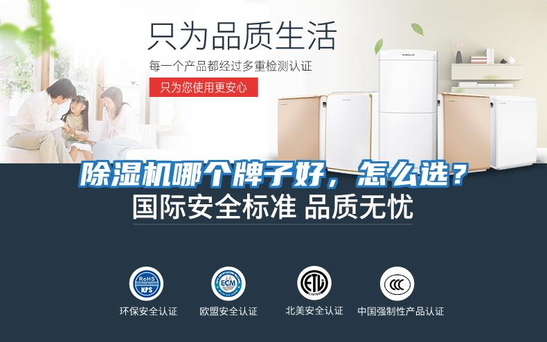 除濕機哪個(gè)牌子好，怎么選？