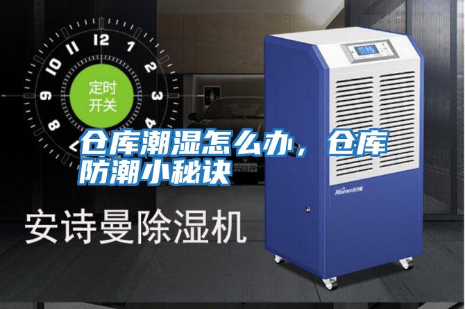 倉庫潮濕怎么辦，倉庫防潮小秘訣