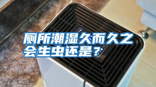 廁所潮濕久而久之會(huì )生蟲(chóng)還是？