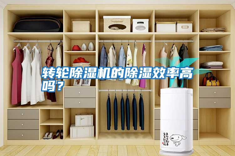 轉輪除濕機的除濕效率高嗎？