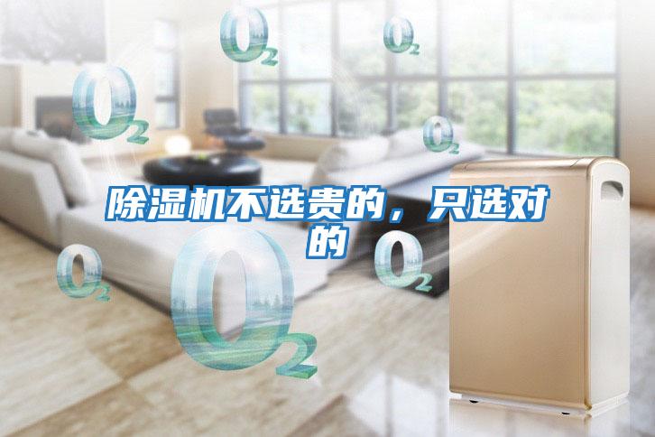 除濕機不選貴的，只選對的