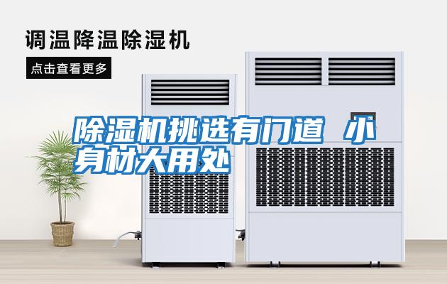 除濕機挑選有門(mén)道 小身材大用處