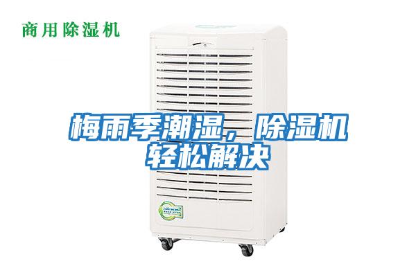 梅雨季潮濕，除濕機輕松解決