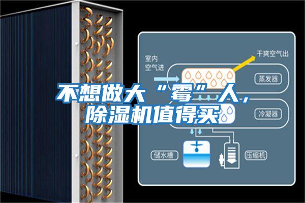不想做大“霉”人，除濕機值得買(mǎi)