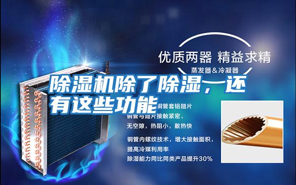 除濕機除了除濕，還有這些功能