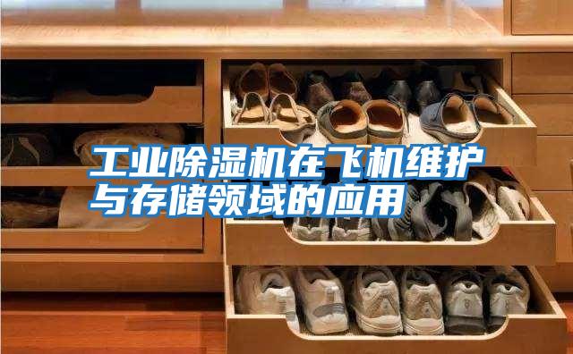 工業(yè)除濕機在飛機維護與存儲領(lǐng)域的應用